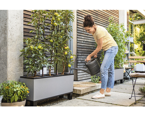Frau gießt Apfelbäume in einem Pflanzkasten auf einer Terrasse