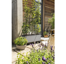 Terrasse mit bepflanztem Pflanzkasten und Spalier