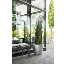 Pflanzkübel Lechuza Classico Premium 60 Kunststoff Ø 60 cm H 55,5 cm silber inkl. Erdbewässerungsystem, Substrat, Wasserstandsanzeiger