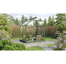 Gewächshaus mit Glaswänden in einem Garten mit Pflanzen und Bäumen.