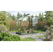 Gewächshaus mit Pflanzen im Garten
