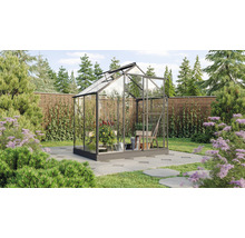 Gewächshaus im Garten mit Pflanzen