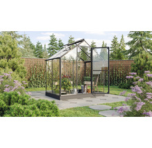 Gewächshaus mit Pflanzen im Garten
