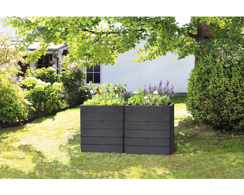 Zwei Pflanzkästen aus Kunststoff im Garten mit Pflanzen.