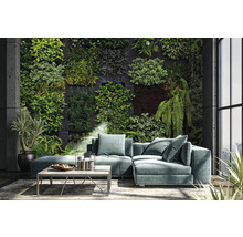 Wohnzimmer mit begrünter Wand, Sofa und Couchtisch für ein natürliches Ambiente
