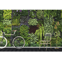 Wandbegrünung mit Fahrrad, Stuhl und Stehlampe für eine lebendige Raumgestaltung.