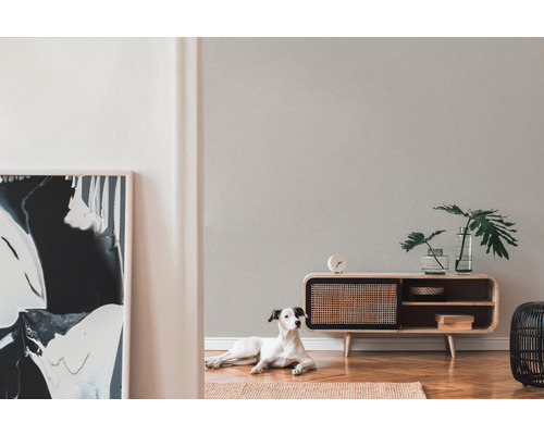 Helles Wohnzimmer mit modernem Lowboard, Dekoration, abstrakter Kunst und einem Hund