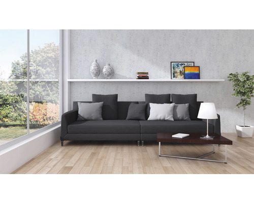 Wohnzimmer mit Sofa, Couchtisch, Regal und Zimmerpflanze