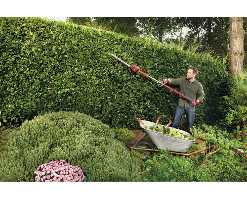 "Mann schneidet Hecke mit einer Hochentaster Heckenschere