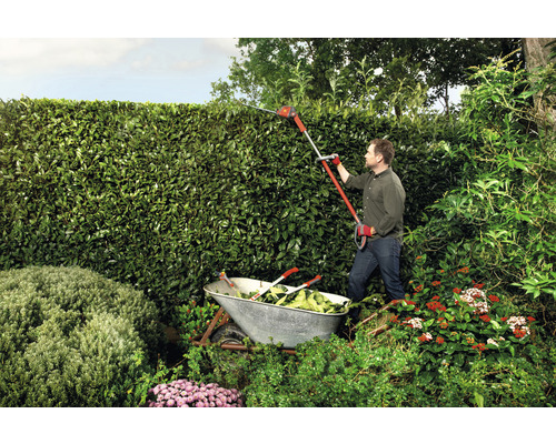 Mann schneidet Hecke mit einer Akku-Heckenschere, während eine Schubkarre bereitsteht, um die Äste aufzunehmen.