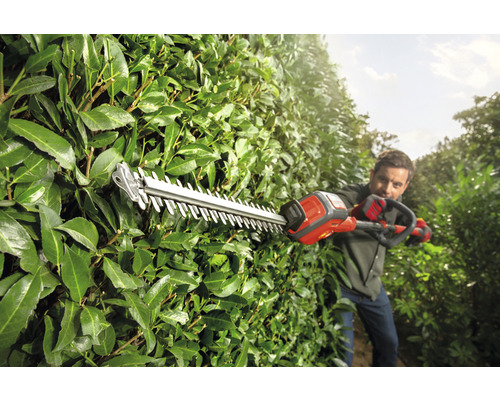 Mann schneidet Hecke mit einer Heckenschere.