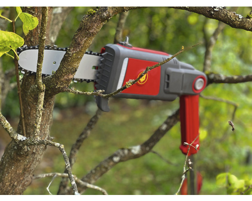 Akkubetriebene Hochentaster-Kettensäge beim Schneiden eines Astes