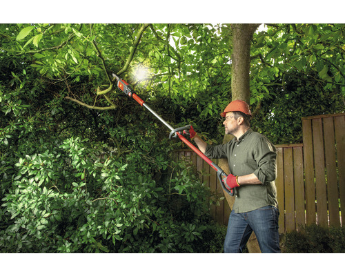 Mann beschneidet Baum mit Hochentaster im Garten.