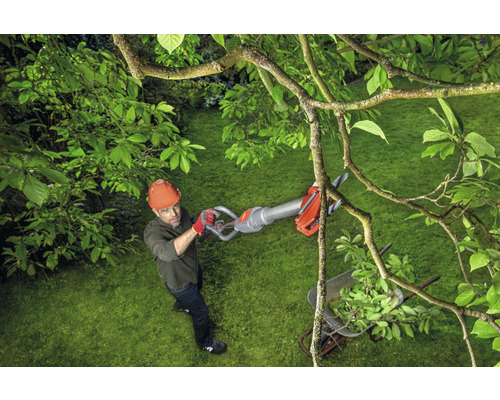 Mann schneidet mit einer Hochentaster Äste in einem Garten.