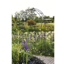 Gartenszene mit Metallbogen über einem Weg.