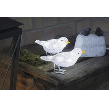 Dekorative, beleuchtete Vögel aus Acryl auf einem Holztisch