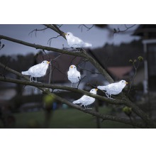 Dekorative Leuchtfiguren Vögel auf einem Baum