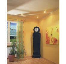Wohnraum mit Deckenpaneelen, Standuhr, Zimmerpflanze und Fenster