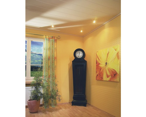 Dekorpaneel Quadro Silberesche 1200 x 147 x 12mm Wohnraum mit Deckenpaneelen, Standuhr, Zimmerpflanze und Fenster