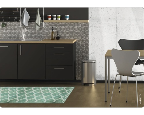 Küchenszene mit Spüle, Mülleimer und Teppich