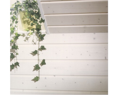 Ecke eines hellen Zimmers mit Holzvertäfelung und hängender Pflanze