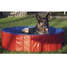 Deutscher Schäferhund liegt in einem Hundepool im Garten.