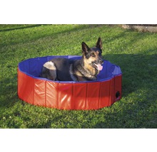 Hund liegt in einem runden Hunde Pool im Garten