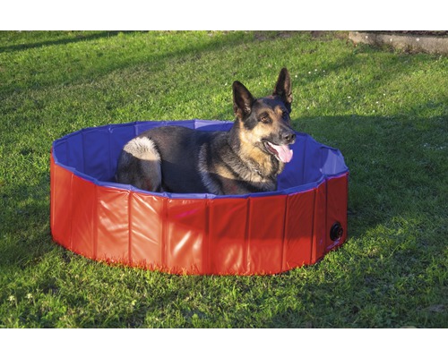 Hund liegt in einem runden Hunde Pool im Garten