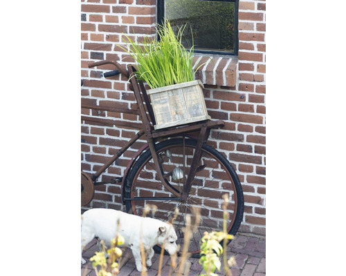 Miniteich 'Old Dutch' FloraSelf mit Pflanzen inkl. Treibring 40 cm Holzkiste