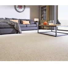 Wohnzimmer mit Sofa, Tisch und hellem Teppich