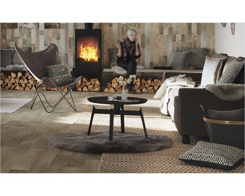 Wohnzimmer mit Kaminofen, Sessel, Sofa und Holztisch auf Teppich