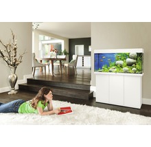 Wohnzimmer mit Aquarium auf Unterschrank und Frau auf Teppich