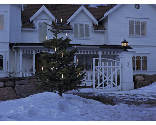 Beleuchteter Weihnachtsbaum vor einem Haus