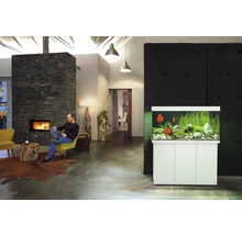 Wohnzimmer mit Kamin, Aquarium und sitzendem Mann