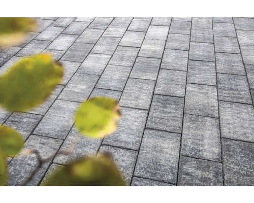 Graue Pflastersteine bilden einen Gartenweg.