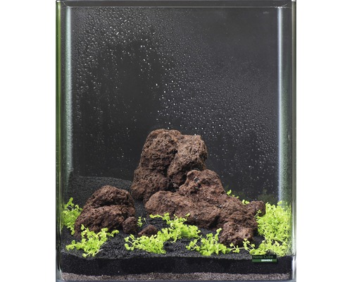 Aquarien-Wasserpflanzenpaket XS "Shrimp World" für ca. 30 l Nano Cube 5 Töpfe Dekoratives Aquarium mit Steinen und Pflanzen