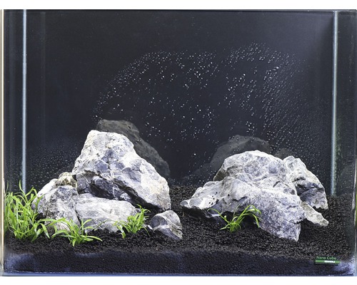 Aquarien-Wasserpflanzenpaket S 