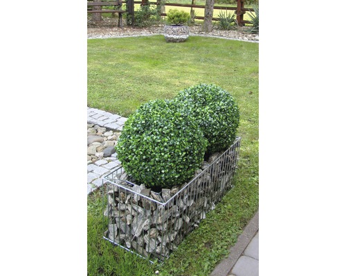 Gabionen-Hochbeet mit dekorativen Steinen und zwei Buchsbaumkugeln im Garten.
