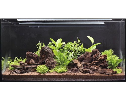 Aquarien-Wasserpflanzenpaket L 