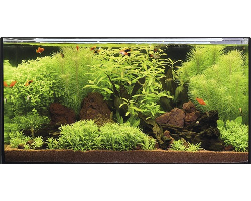 Aquariumkombination EHEIM Vivaline 126 mit LED-Beleuchtung