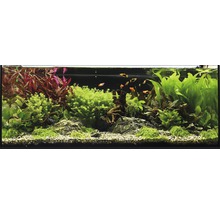 Aquarien-Wasserpflanzenpaket XL "Colors of Nature" für 100 l Aquarium 20 Töpfe-thumb-0