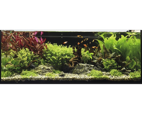 Aquarien-Wasserpflanzenpaket XL "Colors of Nature" für 100 l Aquarium 20 Töpfe-0