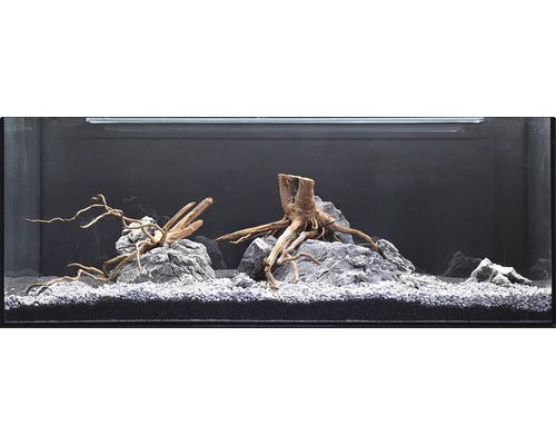 Dekoratives Aquarium mit Steinen, Wurzelholz und Kies