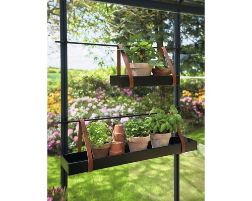 Zwei Pflanzregale mit Pflanzen und Kräutern in einem Gewächshaus