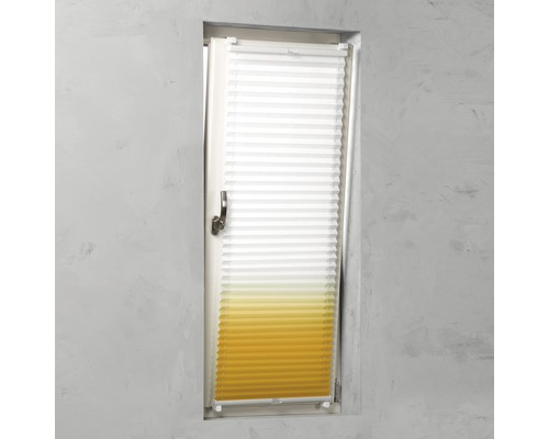 Plissee Rollo am Fenster zur Beschattung