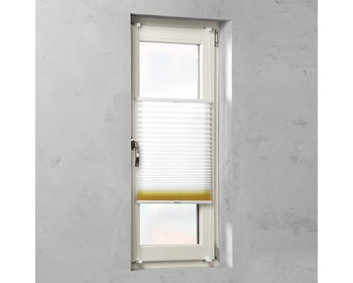 Fenster mit Plissee zum Sonnenschutz