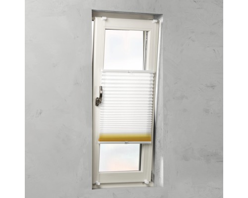 Geöffnetes Fenster mit Plissee Rollo