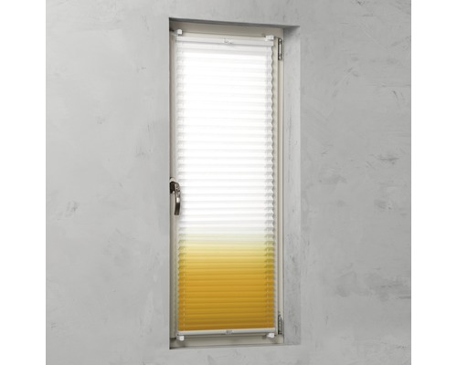 Plissee Rollo am Fenster zur Lichtregulierung.