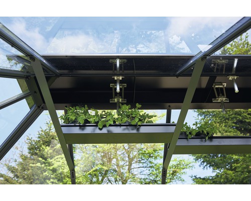 Detailansicht eines Gewächshauses mit Pflanzenregal