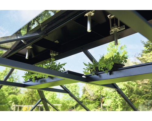 Detailansicht des Gewächshausinnenraums mit Pflanzen